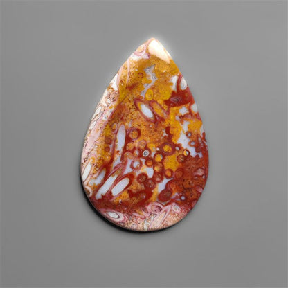 Petrified Red Tube Palm Root Cabochon