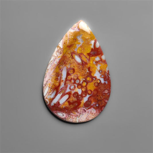 Petrified Red Tube Palm Root Cabochon