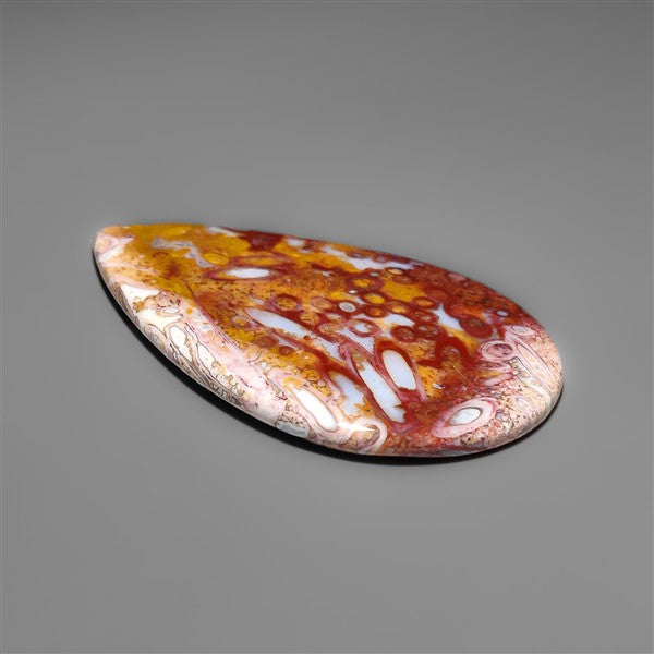 Petrified Red Tube Palm Root Cabochon