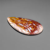 Petrified Red Tube Palm Root Cabochon