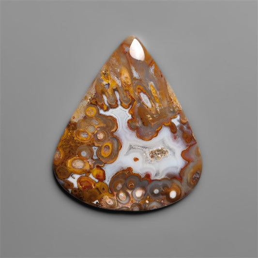 Petrified Red Tube Palm Root Cabochon