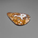 Petrified Red Tube Palm Root Cabochon