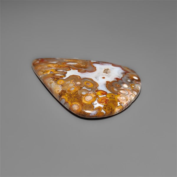 Petrified Red Tube Palm Root Cabochon