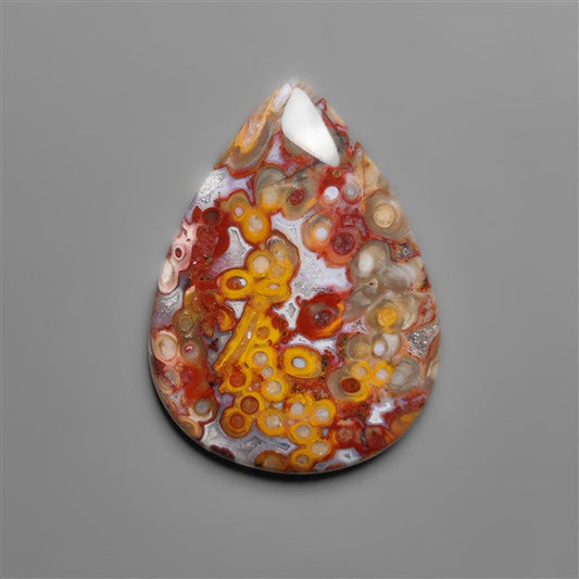 Petrified Red Tube Palm Root Cabochon