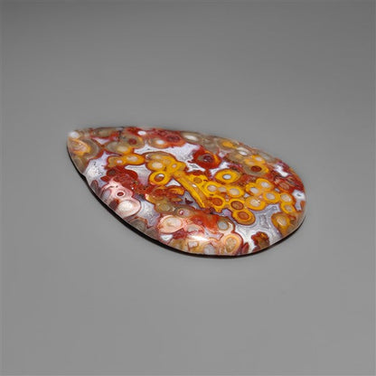 Petrified Red Tube Palm Root Cabochon