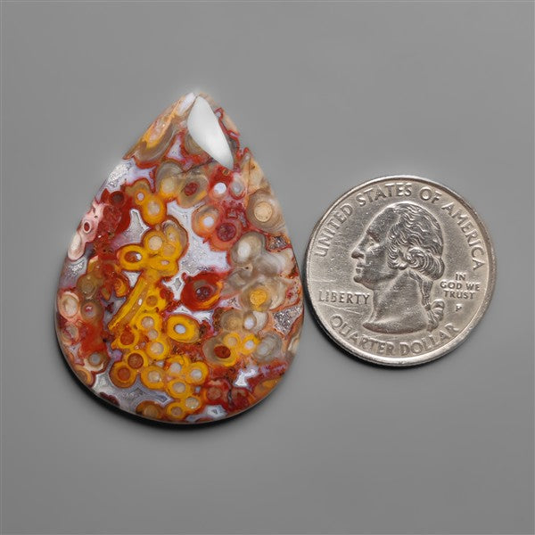 Petrified Red Tube Palm Root Cabochon