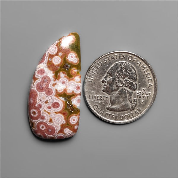 Orbicular Ocean Jasper Cabochon