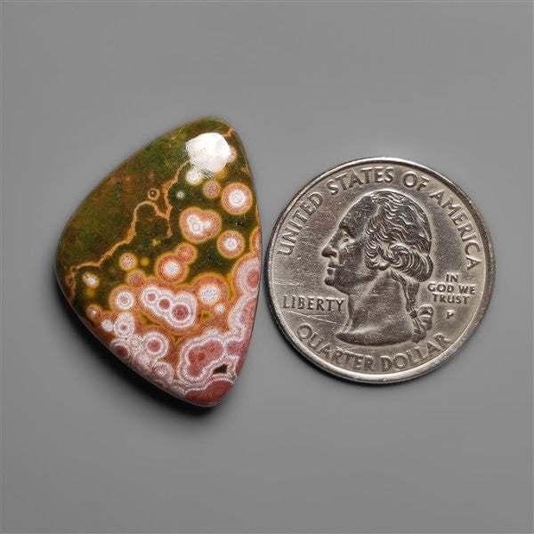 Orbicular Ocean Jasper Cabochon