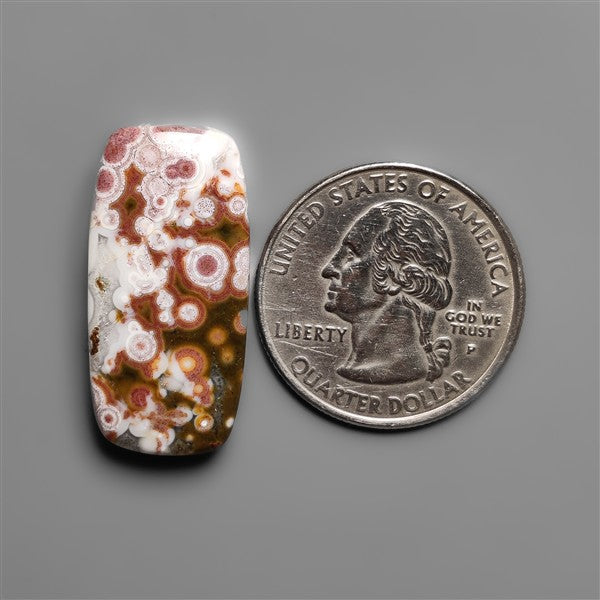 Orbicular Ocean Jasper Cabochon