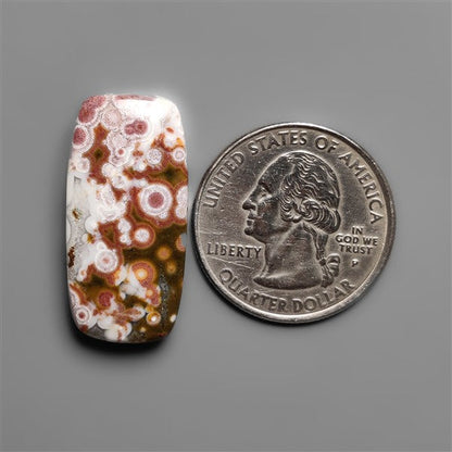 Orbicular Ocean Jasper Cabochon