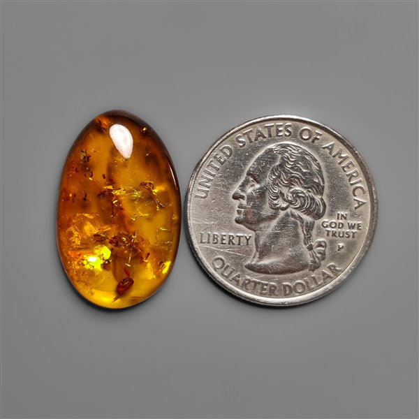 Baltic Amber Cabochon