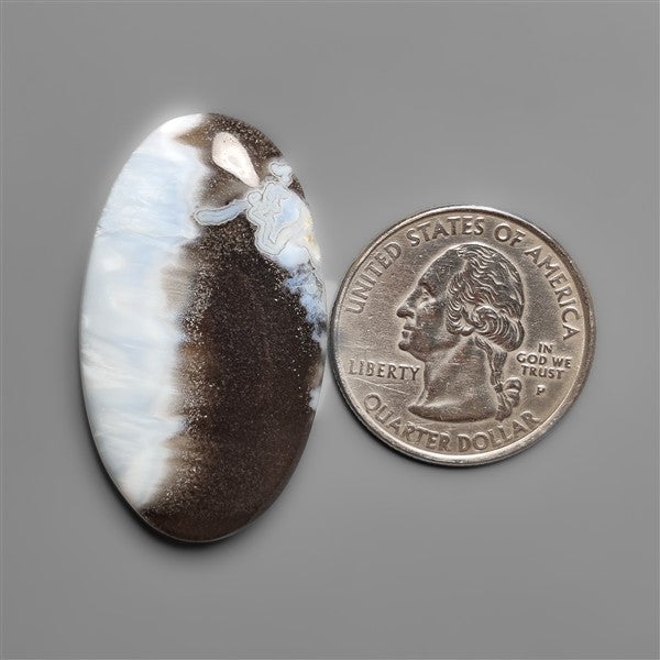Owyhee Blue Opal Cabochon Bicolor