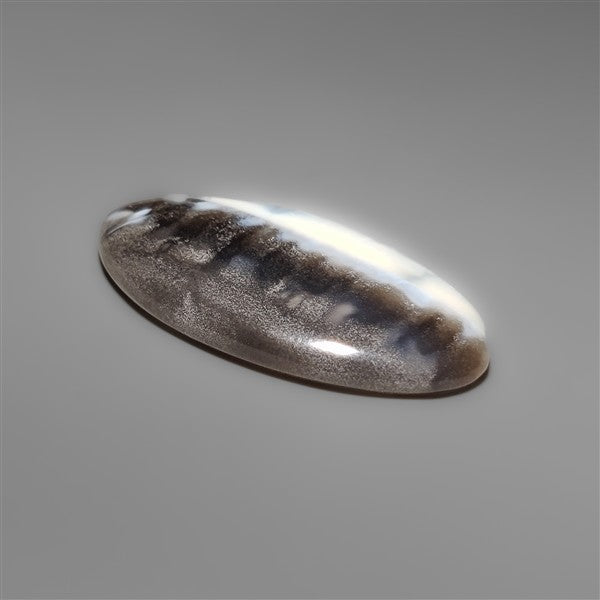 Owyhee Blue Opal Cabochon Bicolor