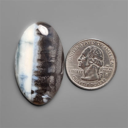 Owyhee Blue Opal Cabochon Bicolor