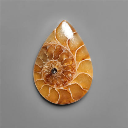 Ammonite Cabochon
