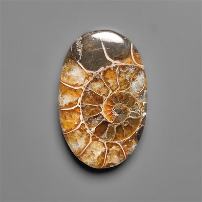 Ammonite Cabochon