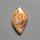 Moroccan Fossi Coral Cabochon