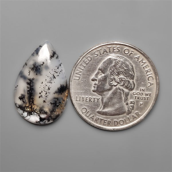 Scenic Dendritic Opal Cabochon