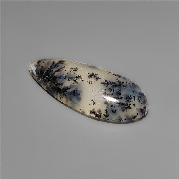 Scenic Dendritic Opal Cabochon
