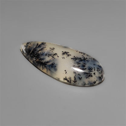 Scenic Dendritic Opal Cabochon