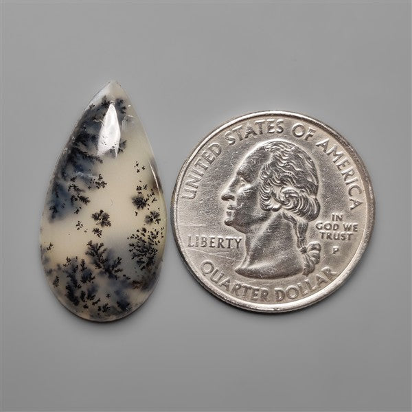 Scenic Dendritic Opal Cabochon