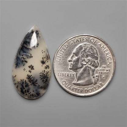 Scenic Dendritic Opal Cabochon