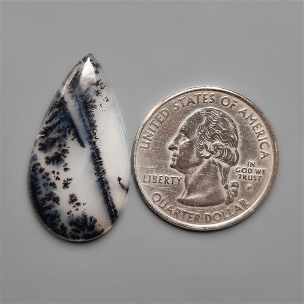 Scenic Dendritic Opal Cabochon