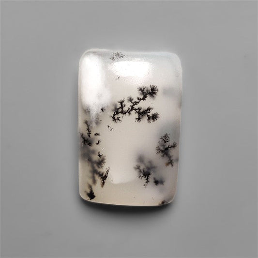 Scenic Dendritic Opal Cabochon