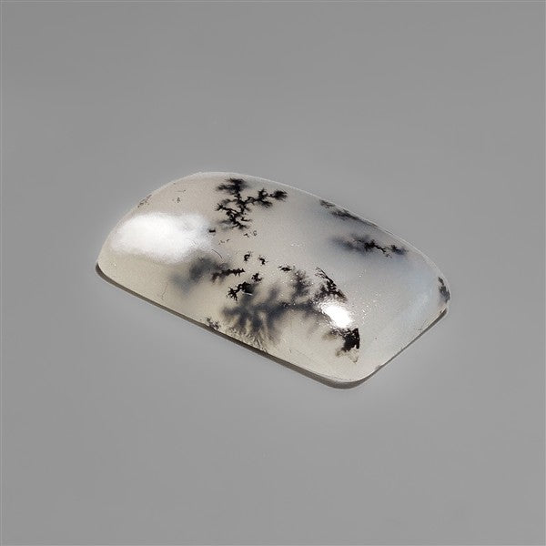 Scenic Dendritic Opal Cabochon