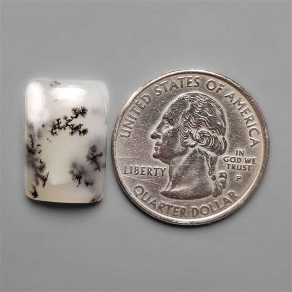 Scenic Dendritic Opal Cabochon