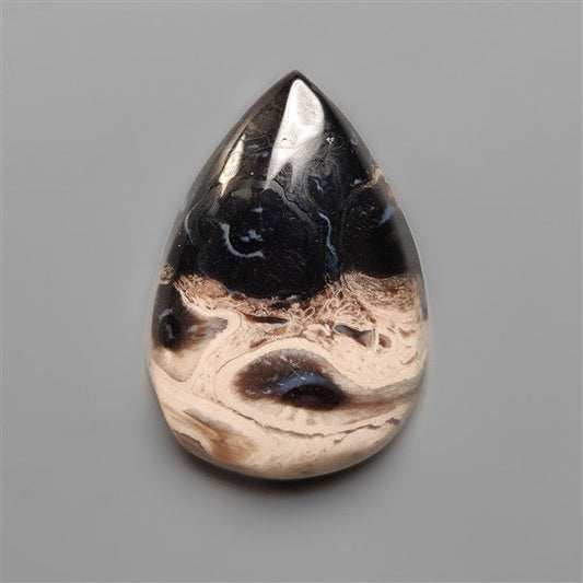 Indonesian Palmroot Cabochon