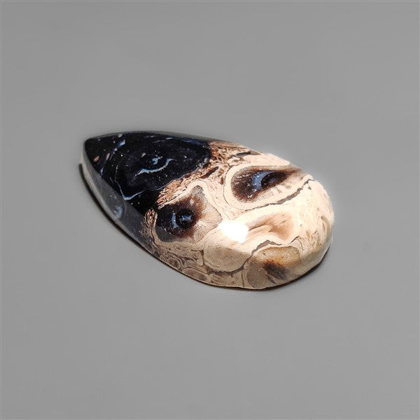 Indonesian Palmroot Cabochon