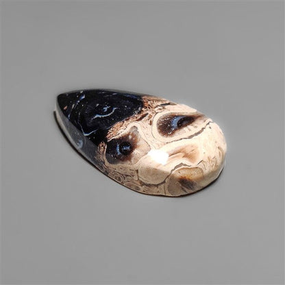 Indonesian Palmroot Cabochon