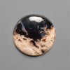 Indonesian Palmroot Cabochon