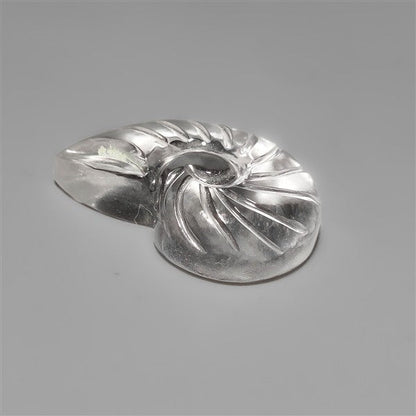 Himalayan Quartz Ammonite Shell Carving