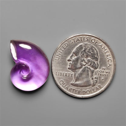 Amethyst With Mother Of Pearl Ammonite Shell Carving Doublet