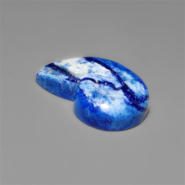 Lapis Lazuli Ammonite Shell Carving