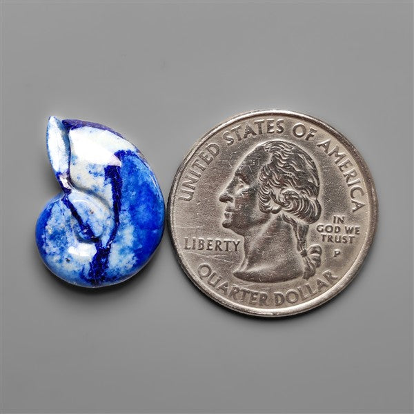 Lapis Lazuli Ammonite Shell Carving