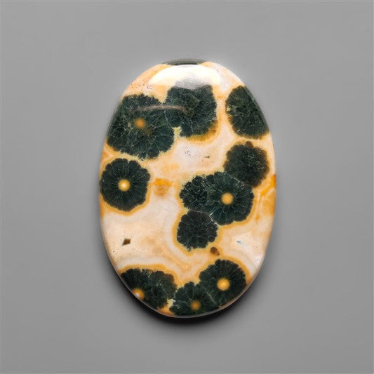 Orbicular Ocean Jasper Cabochon