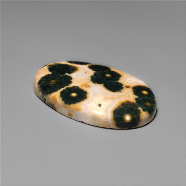 Orbicular Ocean Jasper Cabochon