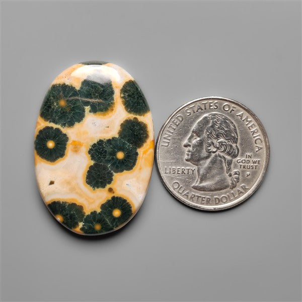 Orbicular Ocean Jasper Cabochon