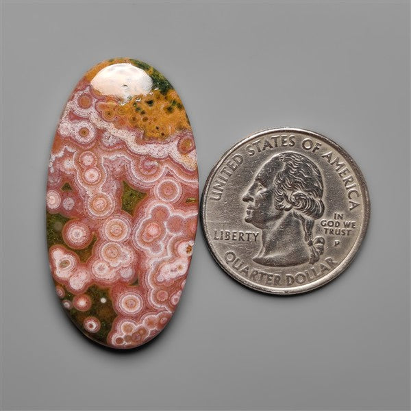 Orbicular Ocean Jasper Cabochon