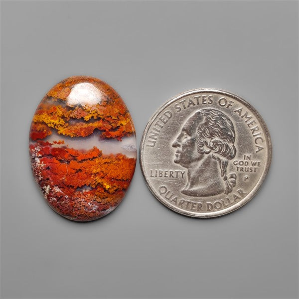Red Moss Agate Cabochon