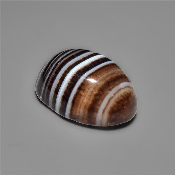 Black Banded Tuxedo Agate Cabochon
