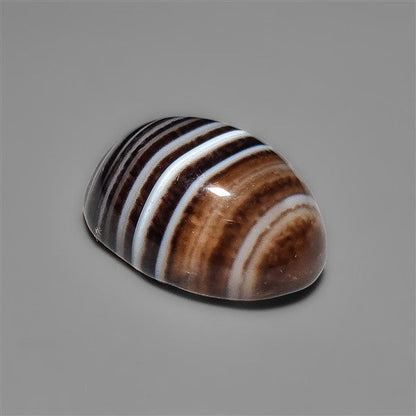Black Banded Tuxedo Agate Cabochon