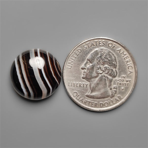 Black Banded Tuxedo Agate Cabochon