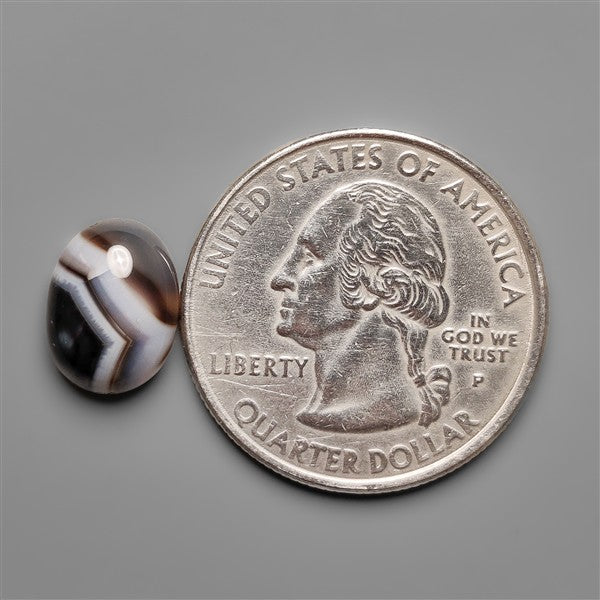 Black Banded Tuxedo Agate Cabochon