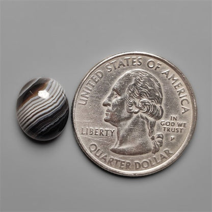 Black Banded Tuxedo Agate Cabochon