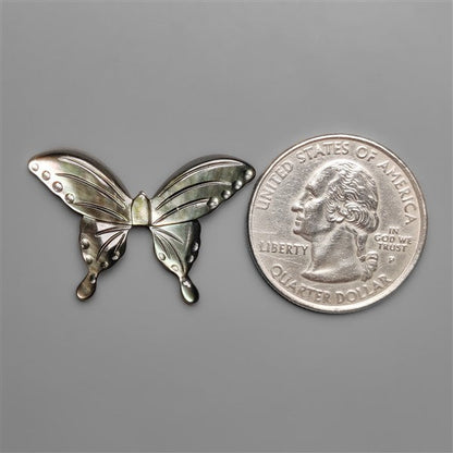 Tahitian Mother Of Pearl Butterfly Carving