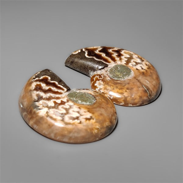 Ammonite Fossil Pair with Suture Pattern